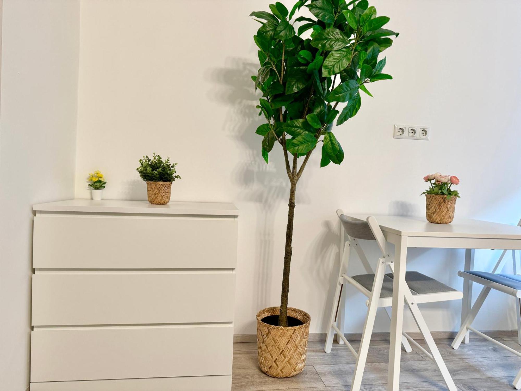 Stylish Schonbrunn Apartments With Free Parking ウィーン エクステリア 写真