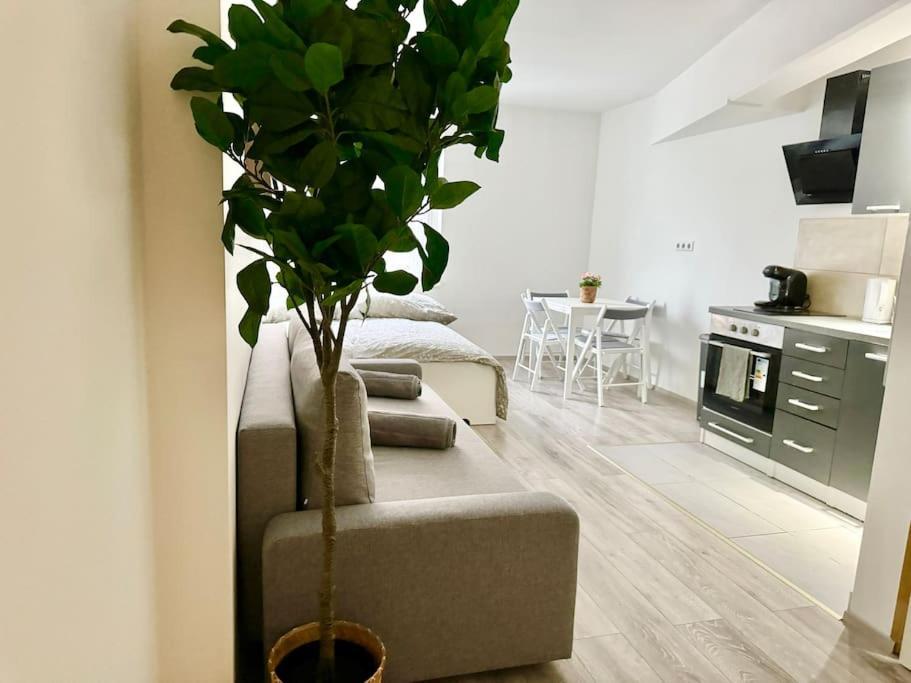 Stylish Schonbrunn Apartments With Free Parking ウィーン エクステリア 写真